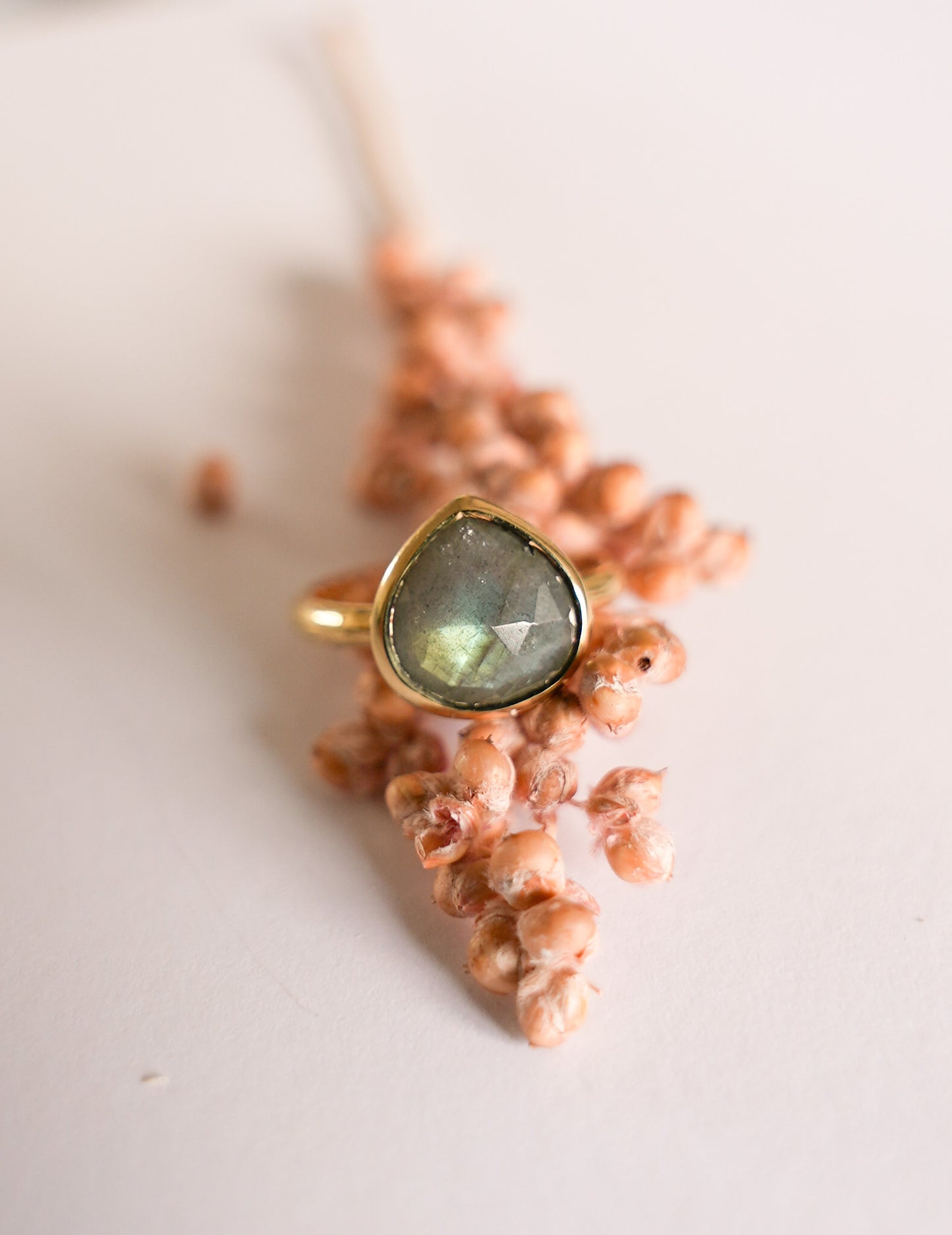 Anillo Amuleto Gandía Labradorita