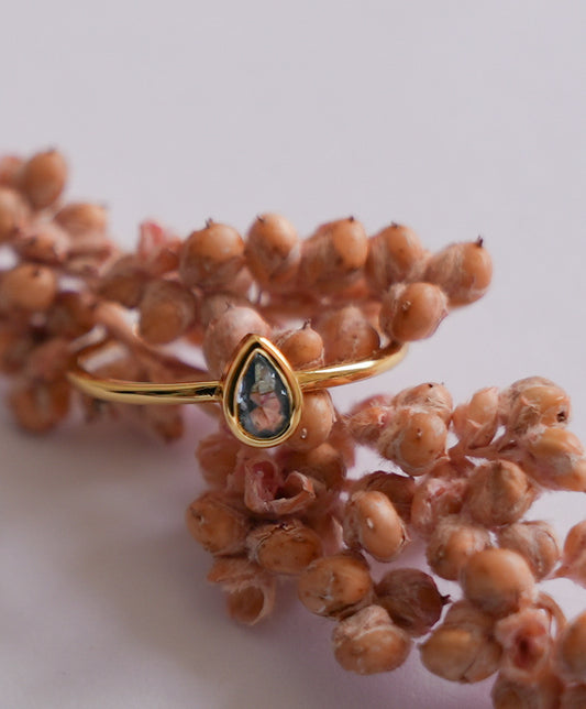 Anillo Amuleto Odisseo Oro